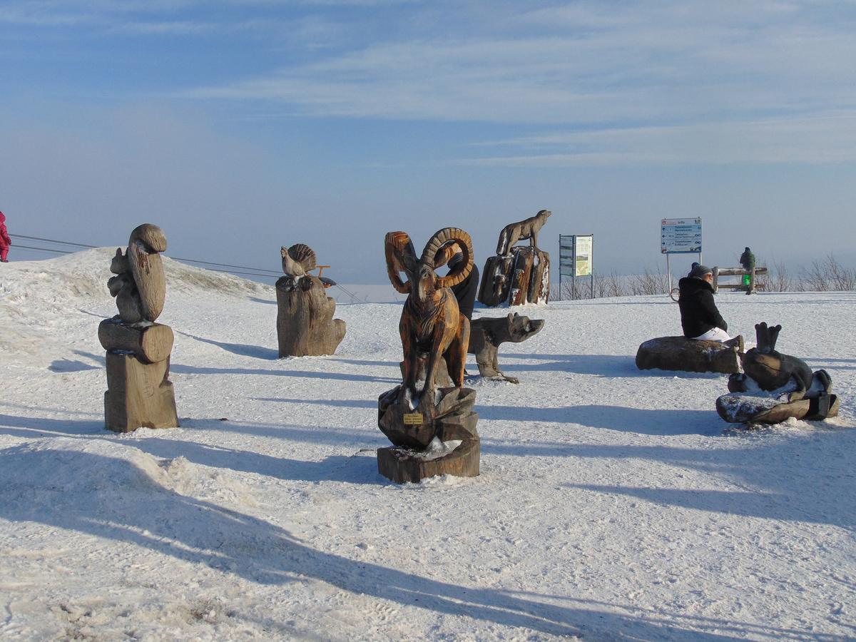 Ferienvermietung Engelstaedter Oberwiesenthal Esterno foto